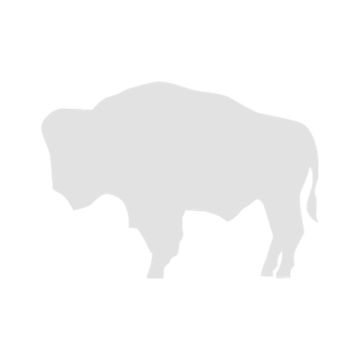 WebGL